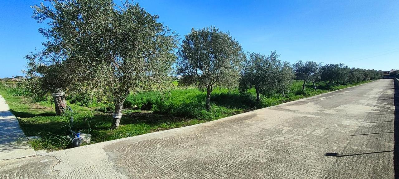 Degli Ulivi, Siracusa, Private Pool, 400 Mt From The Casa de vacances Syracuse